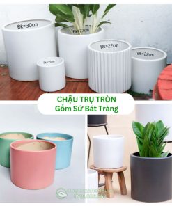 Chậu trụ tròn gốm sứ Bát Tràng