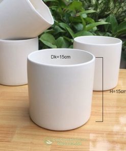 Kích thước chậu trụ tròn gốm Bát Tràng ĐK 15cm