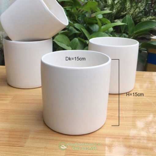 Kích thước chậu trụ tròn gốm Bát Tràng ĐK 15cm