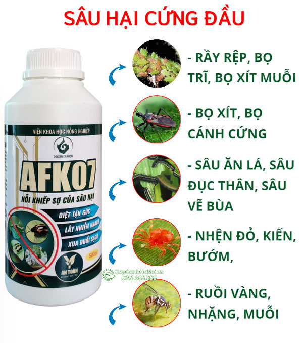 Thuốc trừ sâu sinh học AFK07 có nguồn gốc từ nấm và vi khuẩn