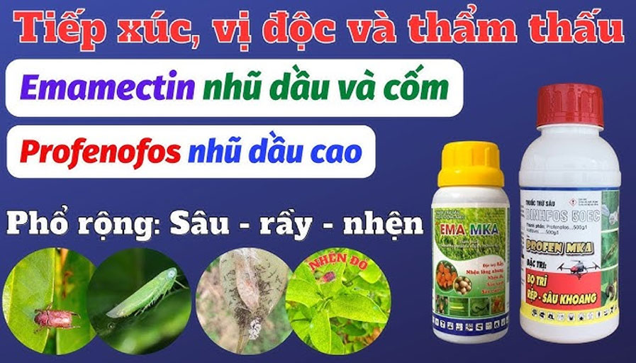 thuốc trừ sâu chứa kháng sinh từ xạ khuẩn