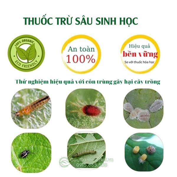 Thuốc trừ sâu sinh học an toàn