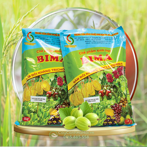 Thuốc trừ sâu sinh học Tricodema (Bima)