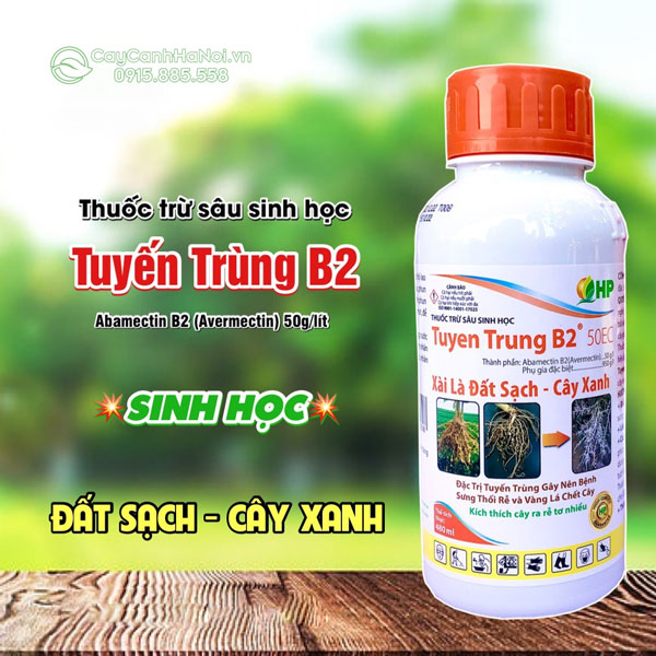 Thuốc trừ sâu sinh học Tuyến Trùng B2