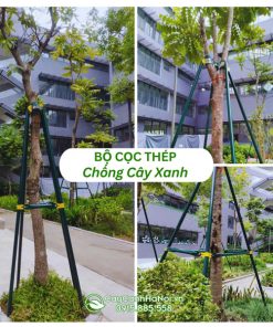 Bộ cọc thép chống cây xanh