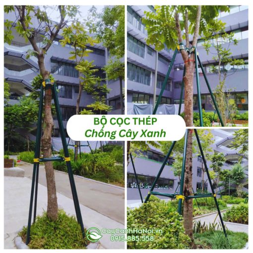 Bộ cọc thép chống cây xanh