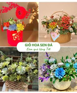 giỏ hoa sen đá tặng Tết