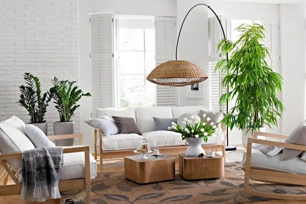 Đặt hai cây đối xứng bên cửa công ty tạo thế đón lộc