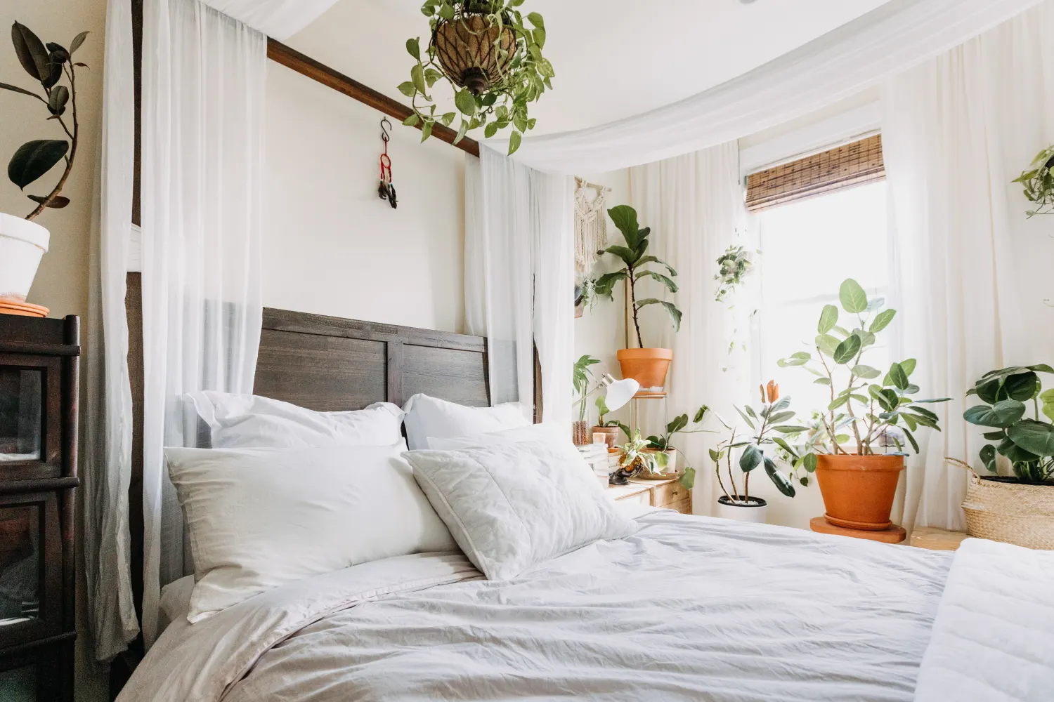 Đặt cây cách giường tối thiểu 1,5m so với vị trí giường ngủ