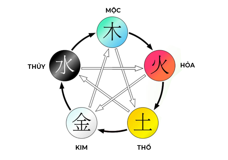 Mệnh Mộc, Hỏa và Thổ là những mệnh phù hợp để trưng cây kim tiền trong dịp tết
