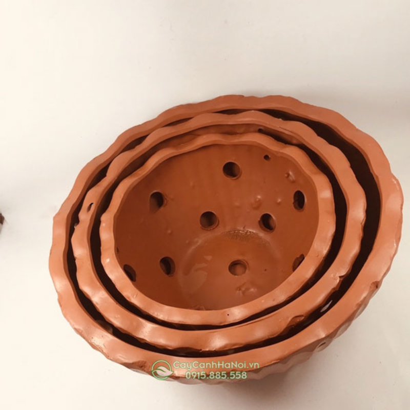 Chậu đất nung giúp hạn chế tình trạng úng rễ