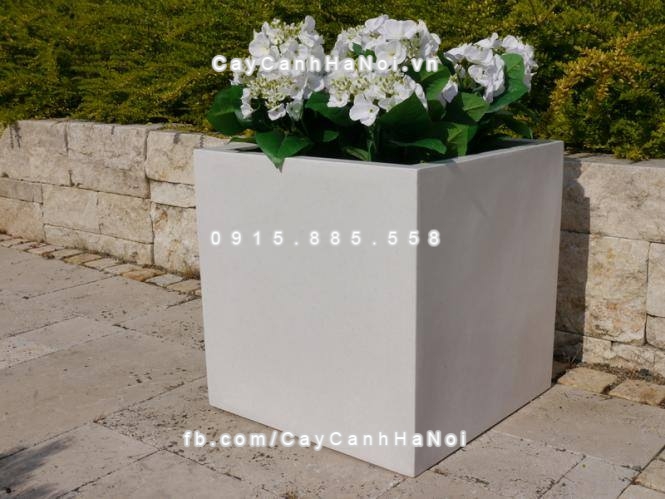 Chậu cây cảnh composite có tính thẩm mỹ vượt trội và tuổi thọ lâu dài