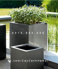 Bình hoa Composite Esteras Arnhem trồng cây cảnh vuông thấp