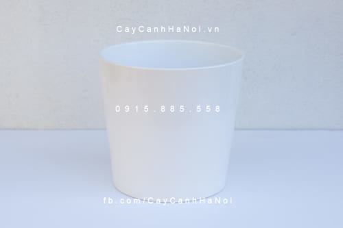 Chậu cây để đặt lên kệ