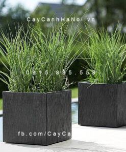 Chậu cây cảnh composite Esteras Clare vuông thấp