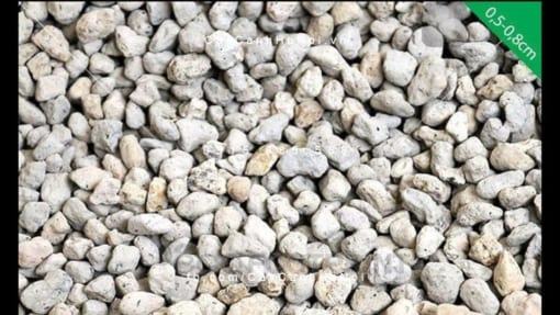 Đá bọt Pumice