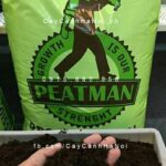 Giá thể Peat Moss Peatman