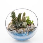 Tiểu cảnh mini terrarium để bàn