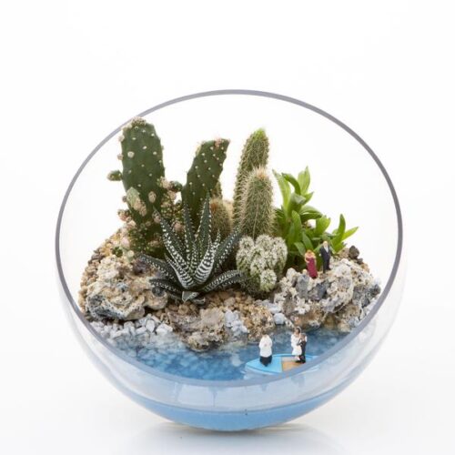 tieu-canh-mini-terrarium-de-ban